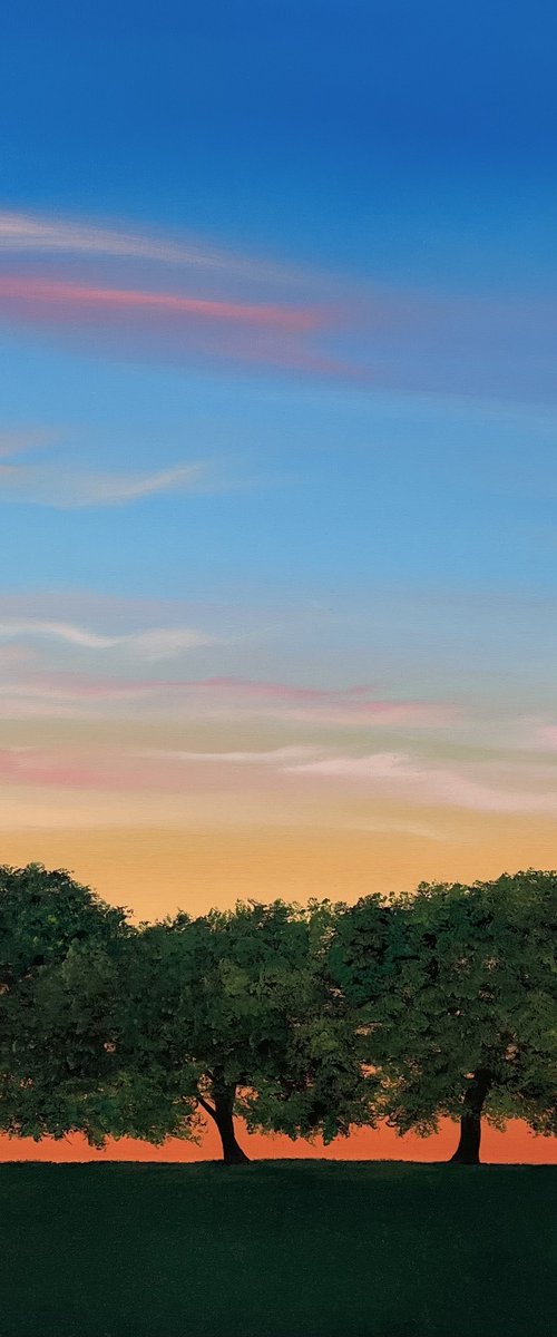 Waiting For The Stars by Victoria Obolensky