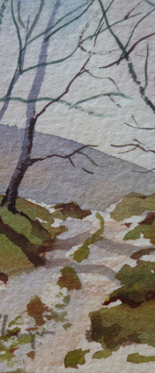 Winter Shadows by Maire Flanagan