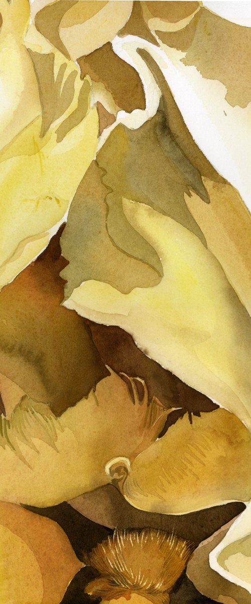 shades of yellow watercolor floral by Alfred  Ng