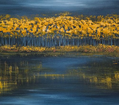 When the Night Falls - Fields and Colors Series by Danijela Dan
