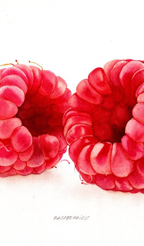 Raspberries by REME Jr.