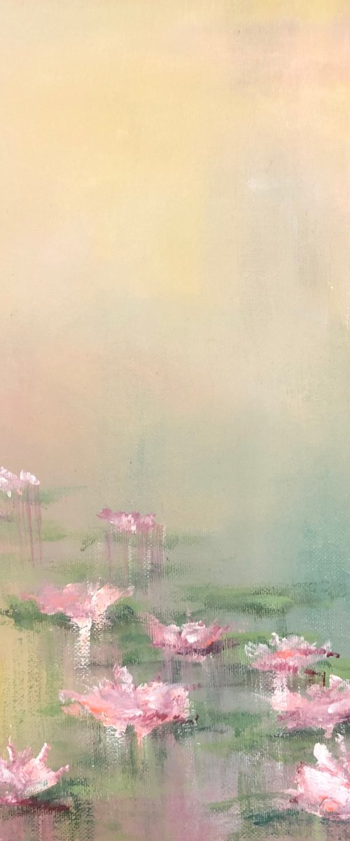 Waterlilies in light by Zoe Jones