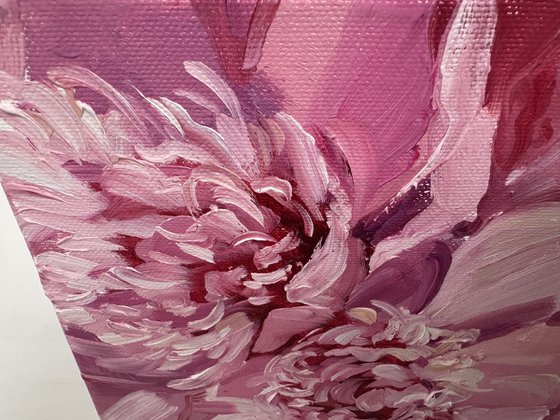Pink peonies
