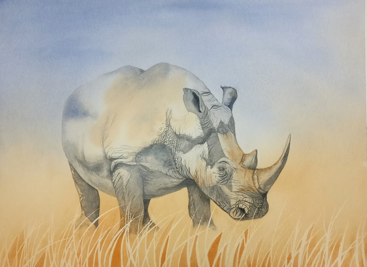 Rhino I by TARA SLATER