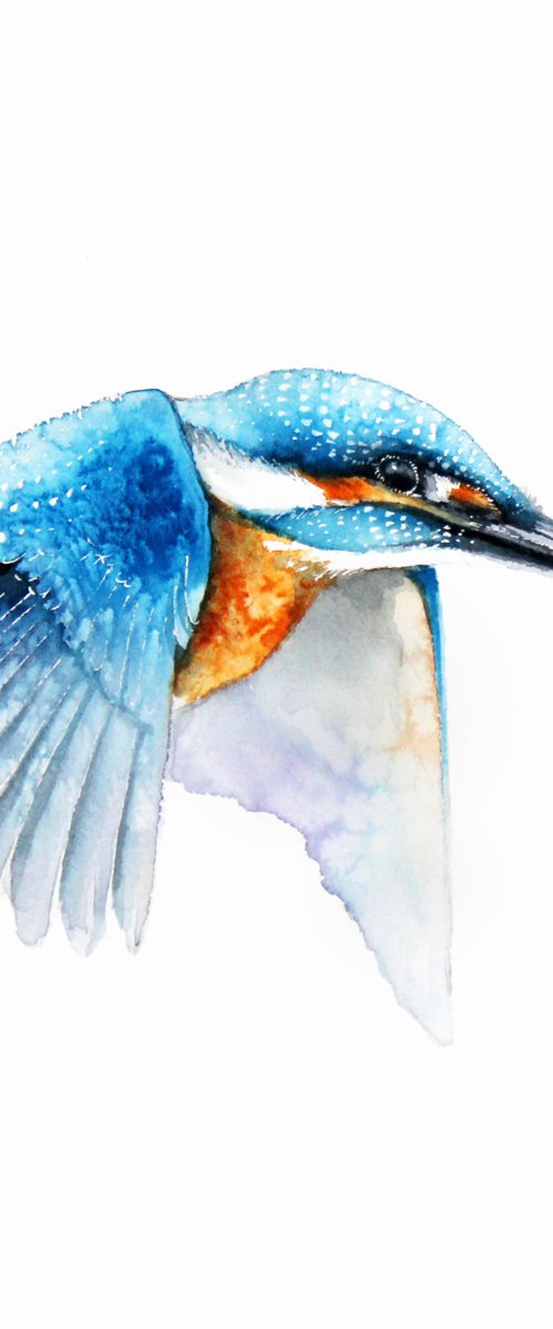 Flying kingfisher, 30x30cm, watercolour painting by Karolina Kijak