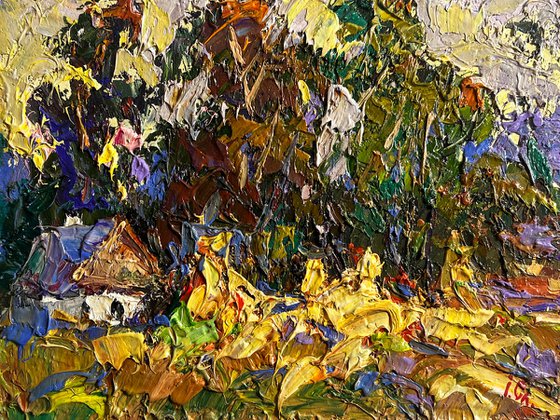 Corn fields in the village