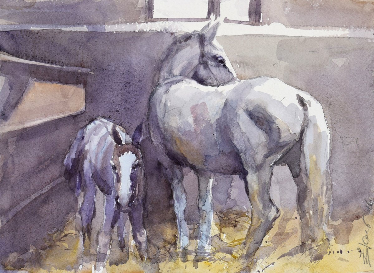 Animal Watercolour By Goran Zigolic Watercolors, 15 X 11, Mare And Foal, Original Artwork