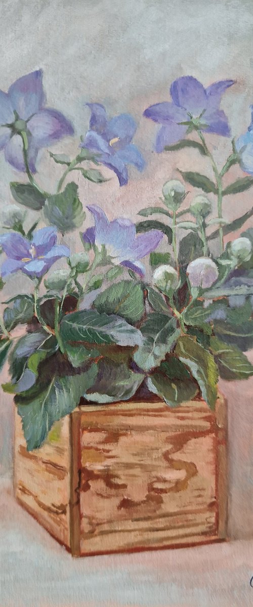 Still life with flowers "Blue bells" by Olena Kolotova