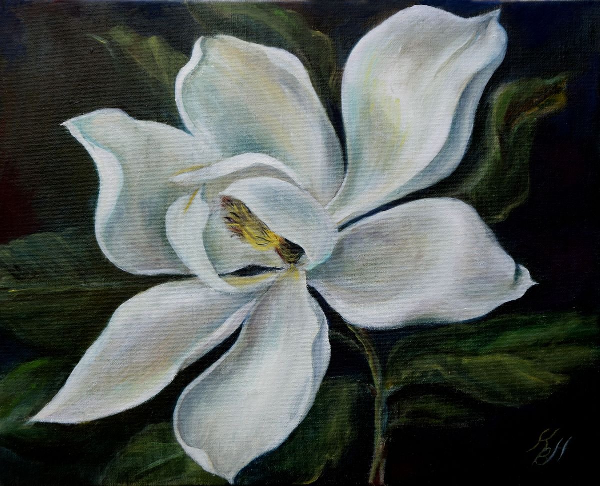 Magnolia flower by Katia Boitsova-Hosek