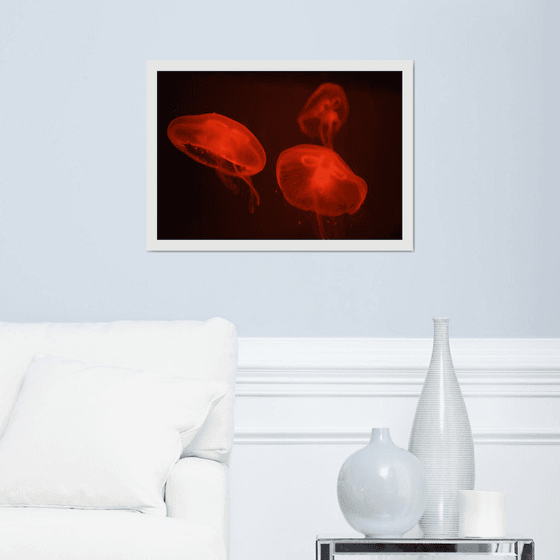 At the aquarium #4 | Limited Edition Fine Art Print 1 of 10 | 60 x 40 cm