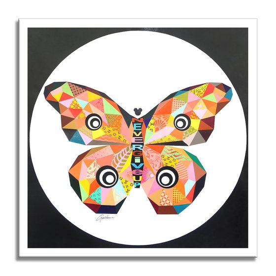 Bella Butterfly