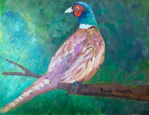 Pheasant by Ryan  Louder