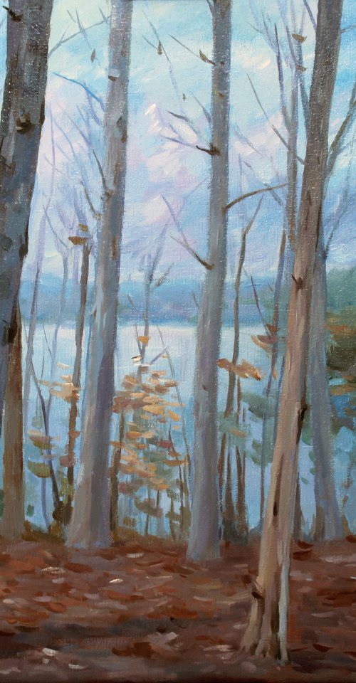Falls Lake, Winter 02 by Mei He