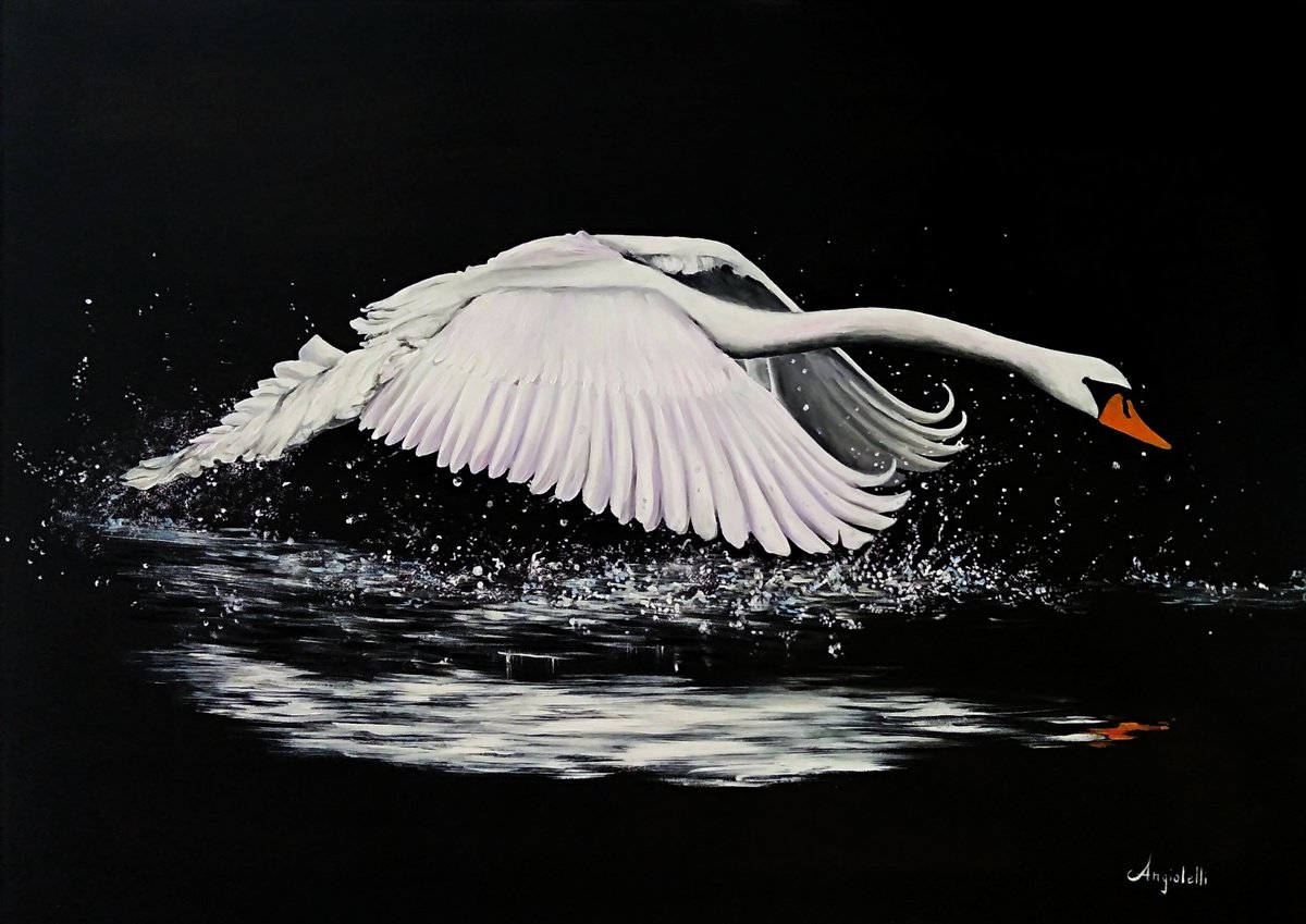 The swan by Anna Rita Angiolelli