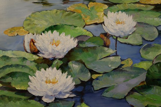 "Symphony of Water Lilies"