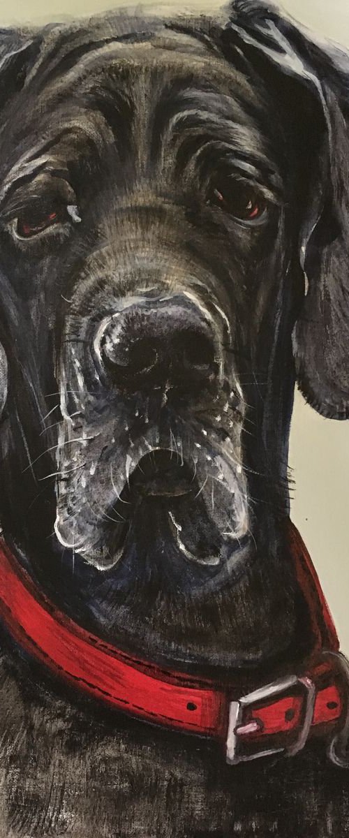 The Greatest Dane by Amanda Lakin Art