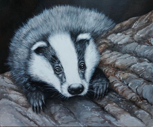 Peeping Badger 12x10 inch £190 by Jayne Farrer