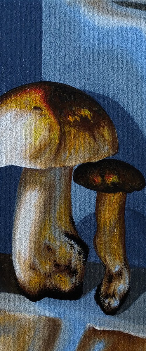 Mushrooms by Anna Shabalova