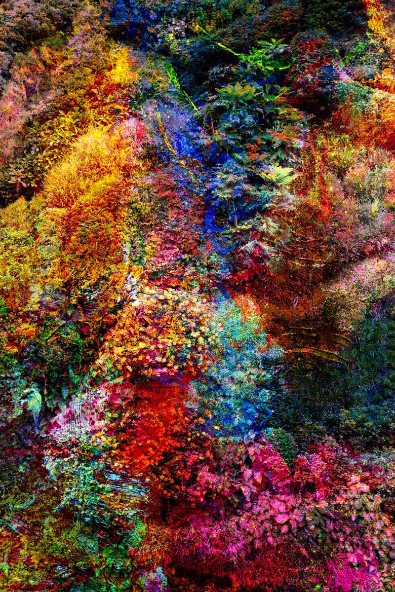 Impressionistic Botanical Photograph By Viet Ha Tran, 31 X 44", Wall Of Nature Xxii (Framed), Original Artwork