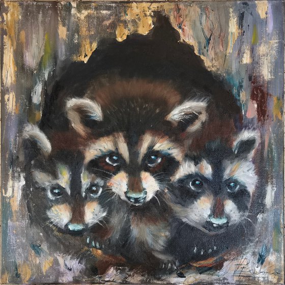 Raccoon Family
