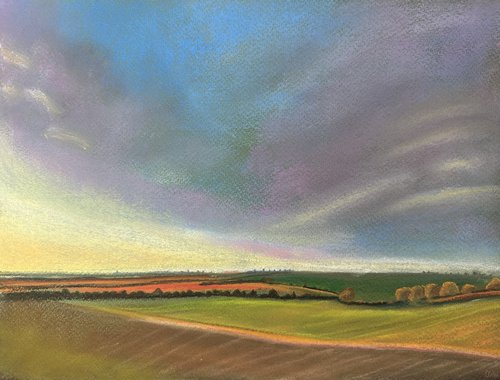 Evening Light Over Fields and Trees. Sunset - Landscape by Catherine Winget