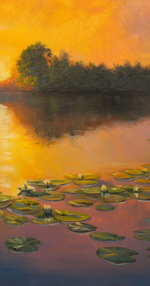 Water Lilies in the Evening by Vladimir Jarmolo