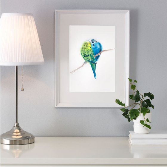 Budgie Birds "I'm Still In Love With You" - Parrots Kiss - Love Couple Budgerigar Parakeet - Birds Pair - Valentine’s Day