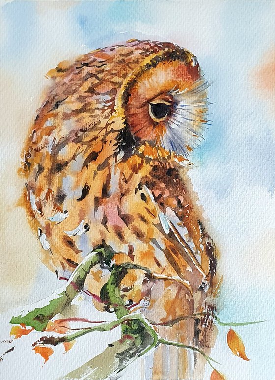 Autumn guardean ( watercolour Owl )
