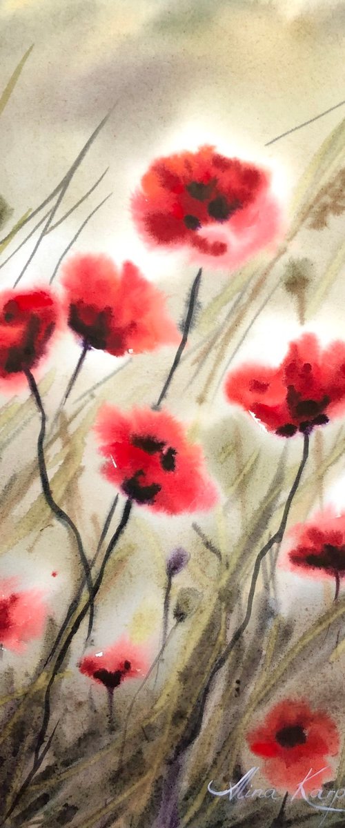 Poppy meadow by Alina Karpova