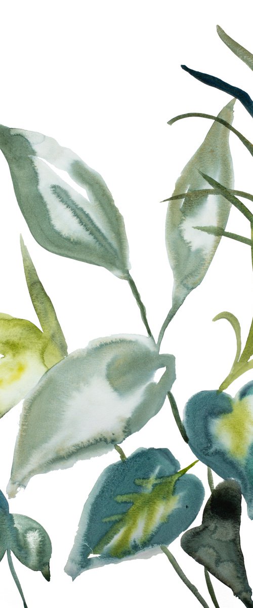 Plant Study No. 98 by Elizabeth Becker