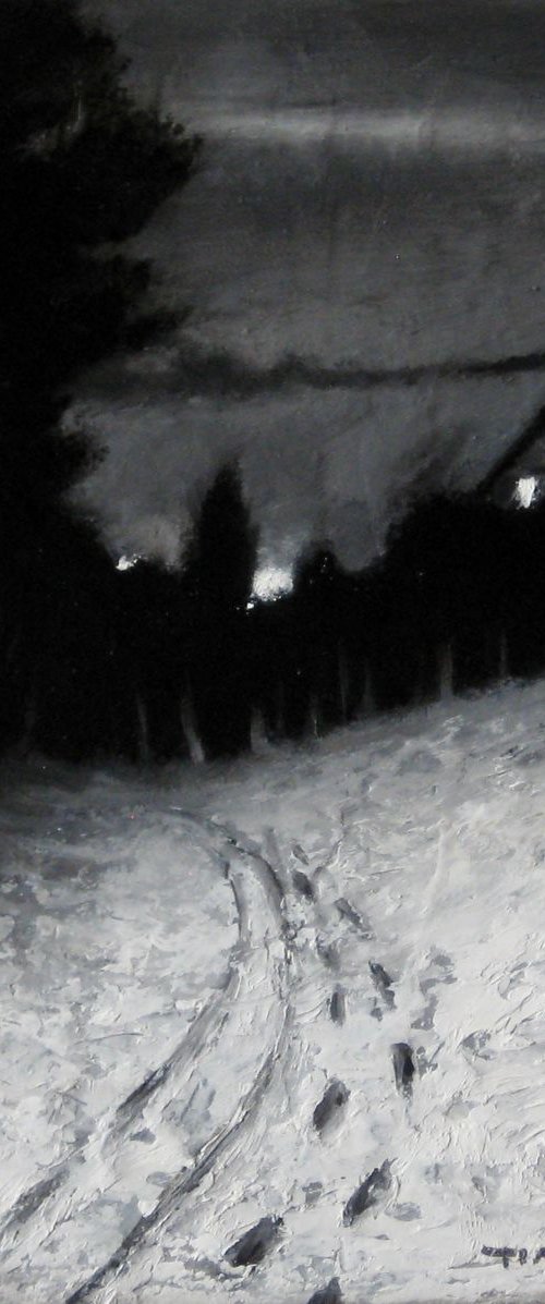 Snowy Winters Night by Timothy  Tyler