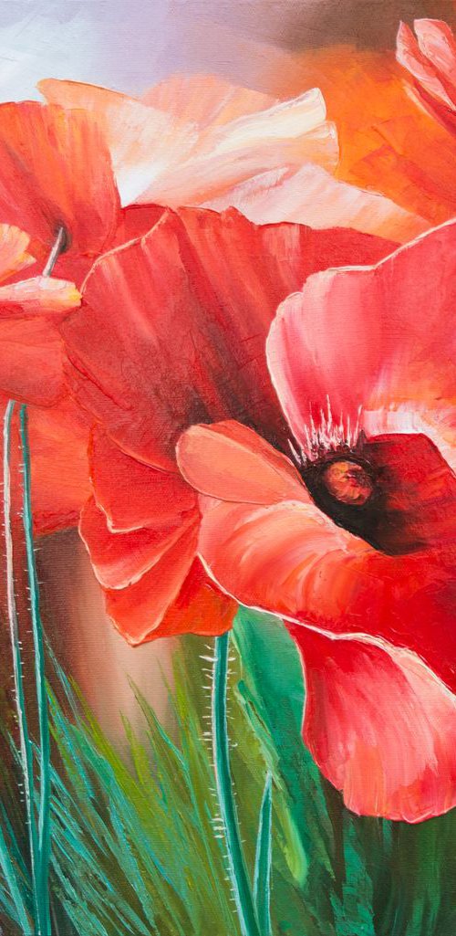 POPPIES by Oleksii Vylusk