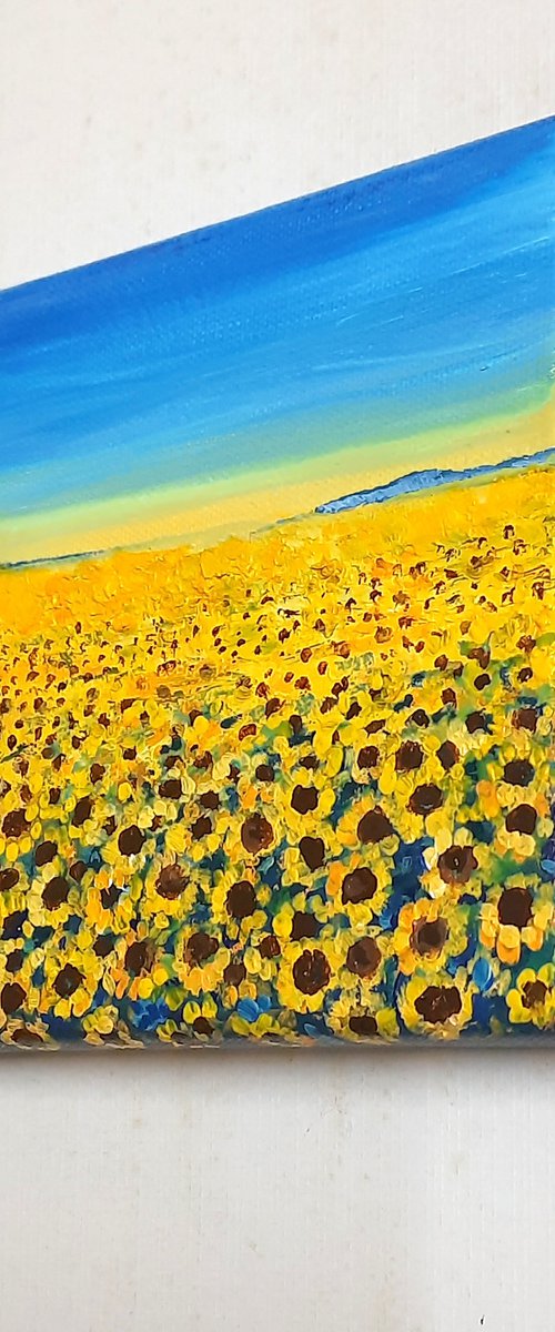 Summer Sunflower fields by Asha Shenoy