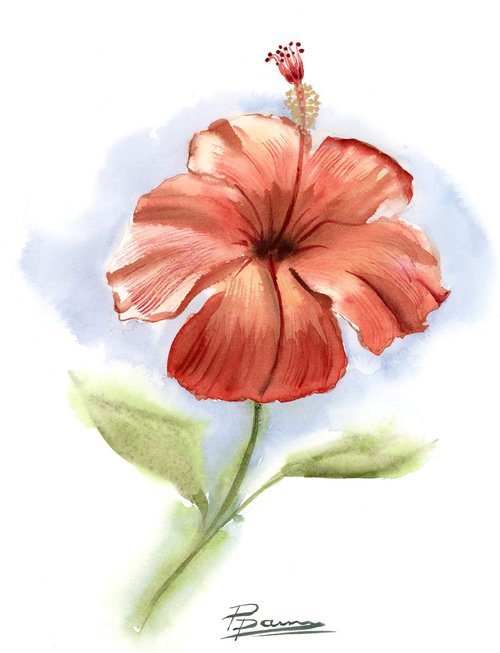 Red hibiscus by Olga Shefranov (Tchefranov)