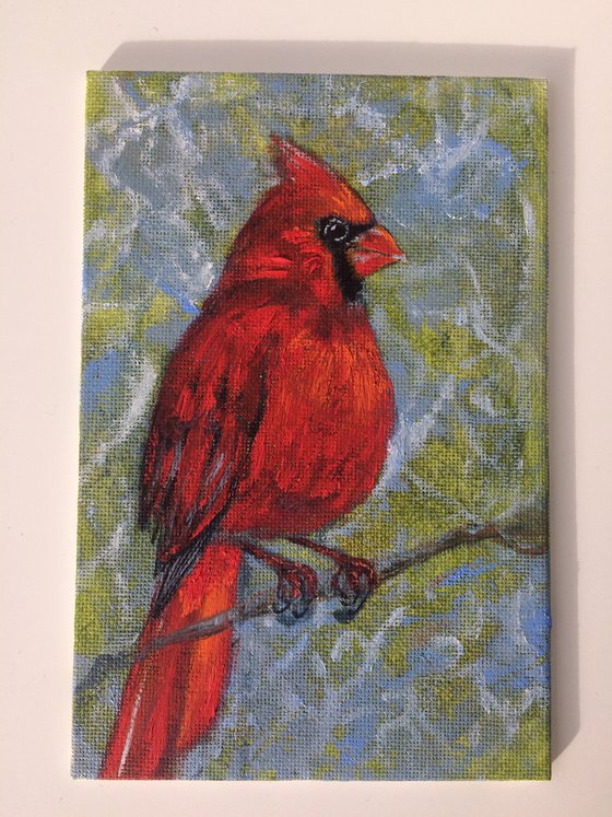 Bird oil painting - Red cardinal small canvas - Christmas gift for bird lover.