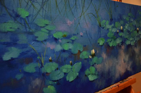 Lily pond. Reflection