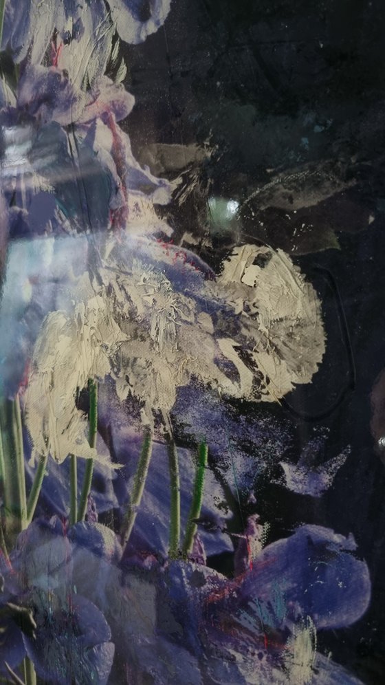 Gloaming [Studio Clearance]