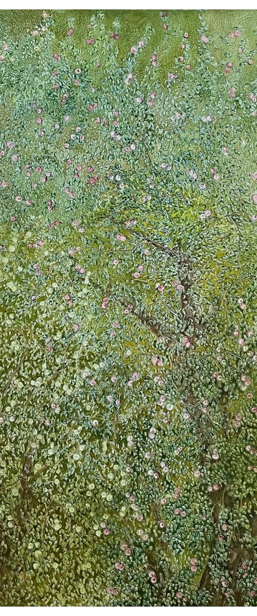 Two Old Apple Trees by Maija Nochevnaya