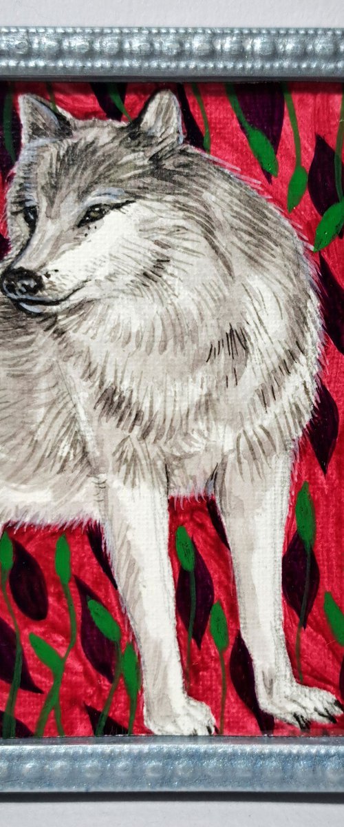gray wolf by Andromachi Giannopoulou