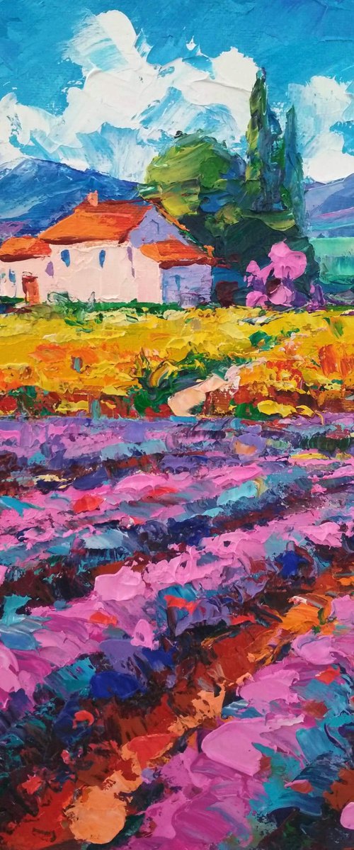 Provence by Andrej  Ostapchuk
