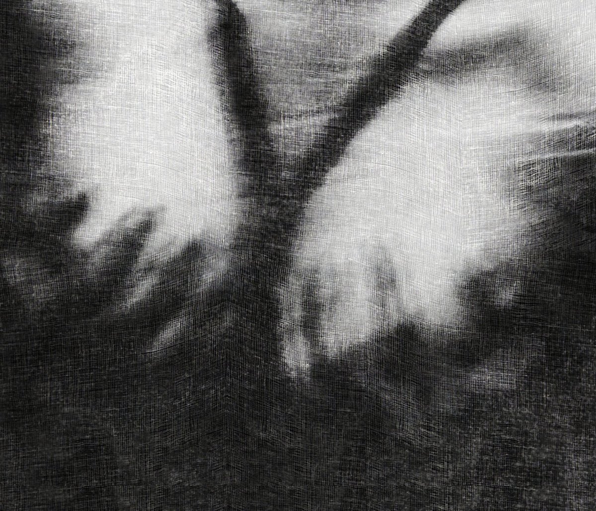 Charm.................. by Philippe berthier