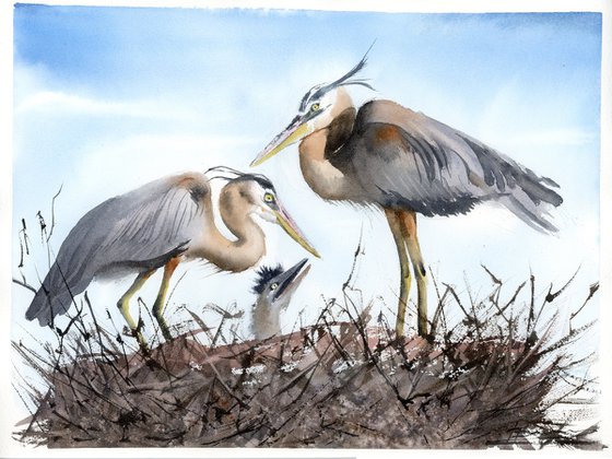 Heron Family #3