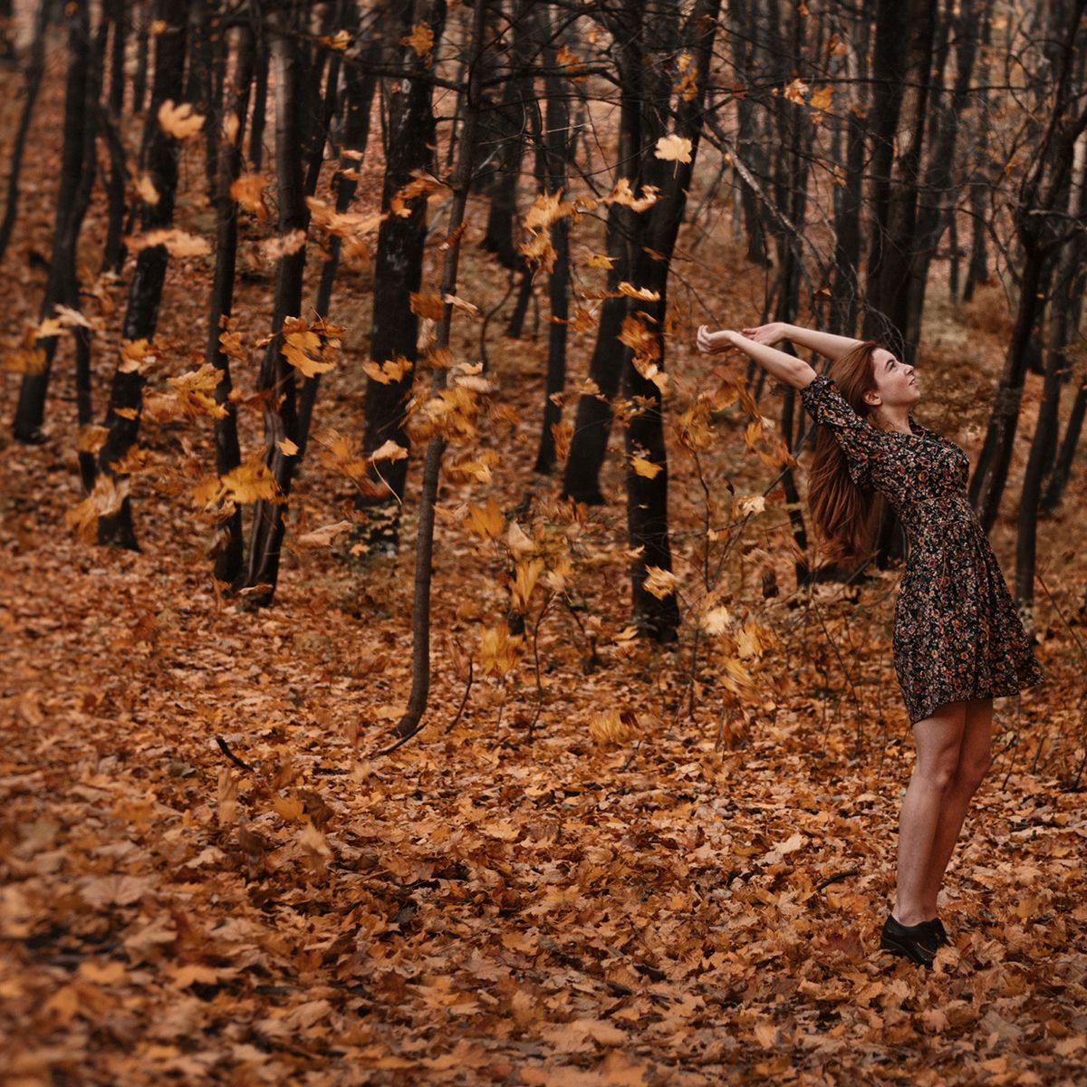 Hello, autumn! Limited Edition 1 of 10 by Inna Mosina