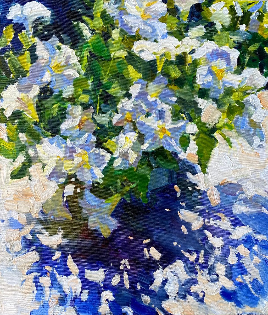 Sunny petunias 70x60cm | oil painting on canvas flowers by Nataliia Nosyk
