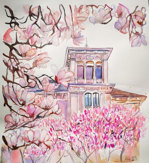 Blooming Magnolia by Jelena Nova