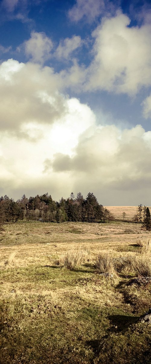 Sheepstor, Dartmoor - A4 by Kerry Gerdes