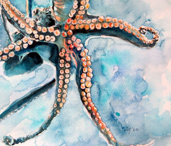 Octopus