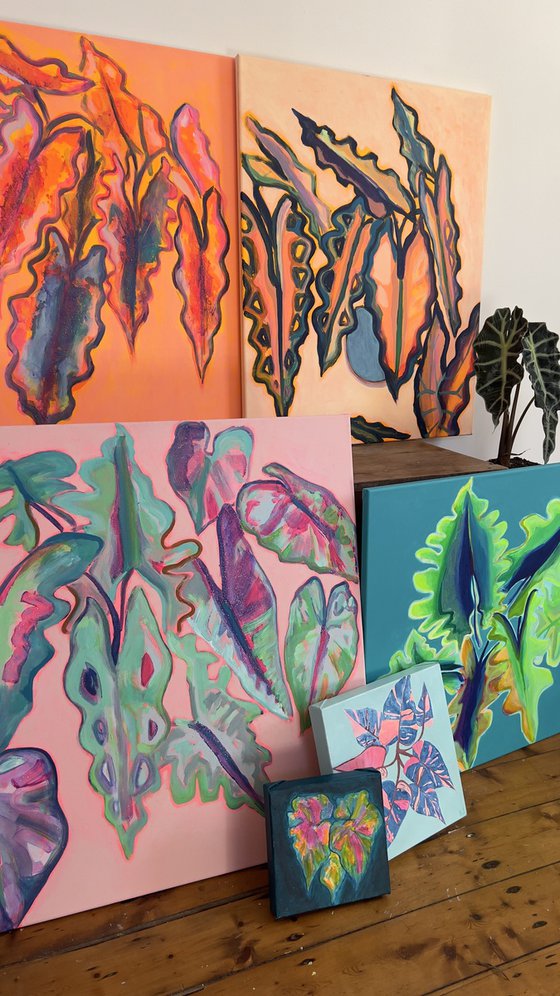 Alocasia Study II