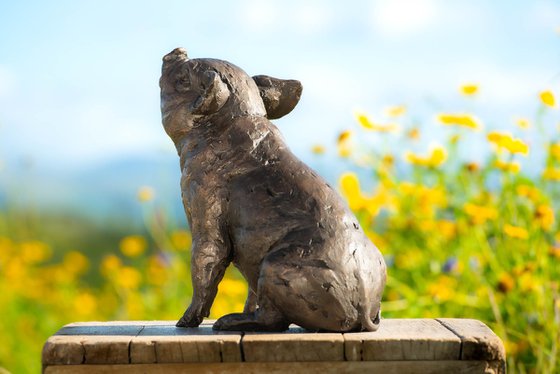 Sitting Piglet BR