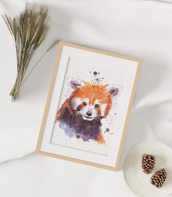 Red Panda